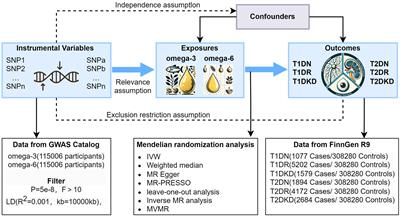 Polyunsaturated fatty acids and diabetic microvascular complications: a Mendelian randomization study